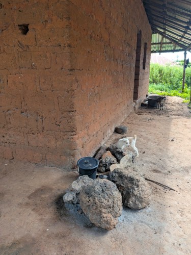 pxl_20251105_112150672.mp