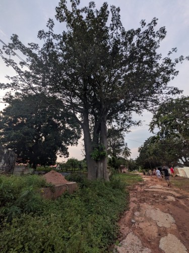 pxl_20251105_170432785