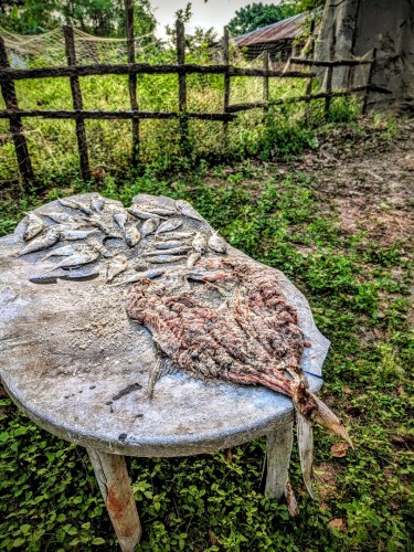 pxl_20251105_1705145992