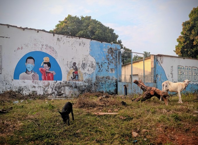 pxl_20251105_174354373.action_pan2